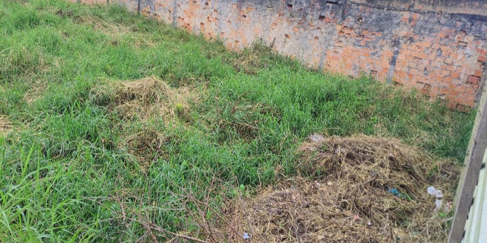 Imagem do WhatsApp de 2025-03-27 à(s) 13.24.40_109518d3