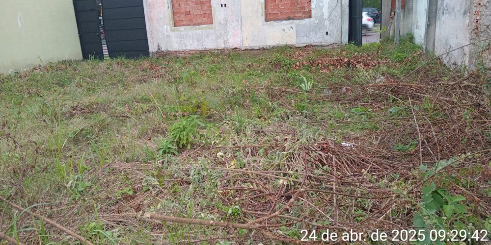 Imagem do WhatsApp de 2025-05-20 à(s) 15.57.07_2f725ff0